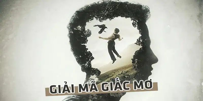 Giải mã giấc mơ